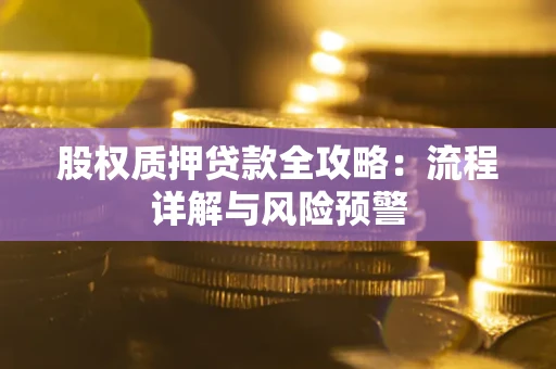 武汉股权质押贷款全攻略：流程详解与风险预警