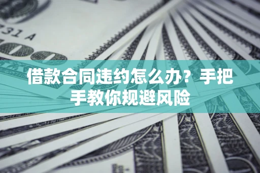 武汉借款合同违约怎么办？手把手教你规避风险
