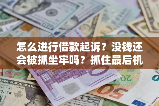 武汉怎么进行借款起诉？没钱还会被抓坐牢吗？抓住最后机会！