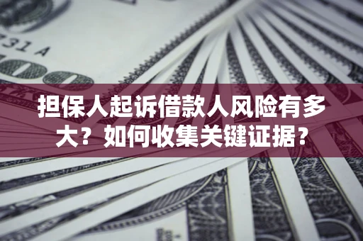 武汉担保人起诉借款人风险有多大？如何收集关键证据？