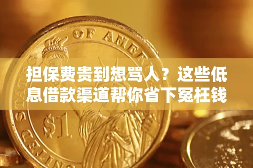 武汉担保费贵到想骂人？这些低息借款渠道帮你省下冤枉钱