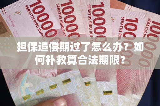 武汉担保追偿期过了怎么办？如何补救算合法期限？
