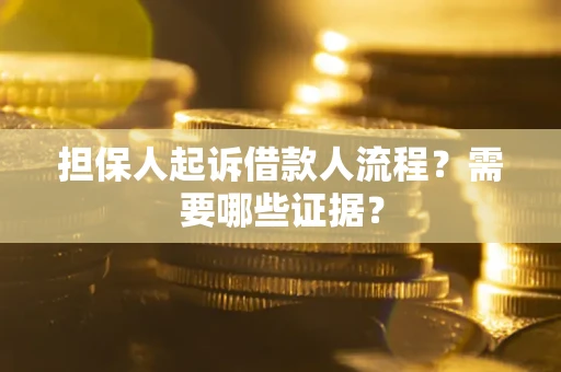 武汉担保人起诉借款人流程？需要哪些证据？