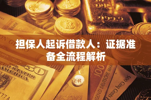 武汉担保人起诉借款人：证据准备全流程解析