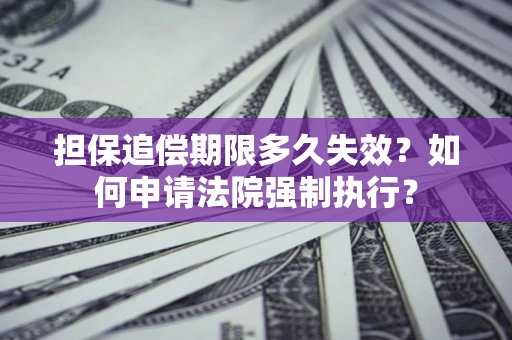 武汉担保追偿期限多久失效？如何申请法院强制执行？