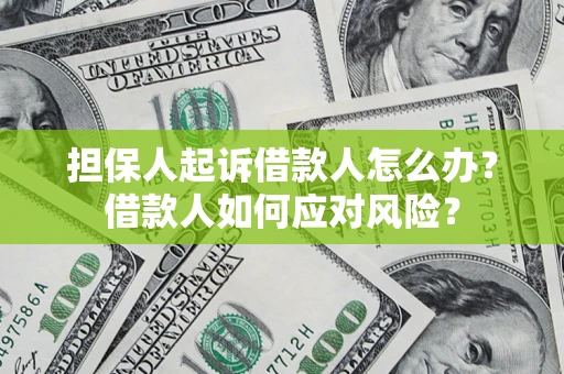 武汉担保人起诉借款人怎么办？借款人如何应对风险？