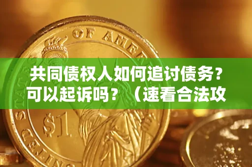 武汉共同债权人如何追讨债务？可以起诉吗？（速看合法攻略）