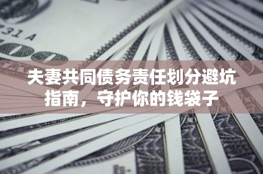 武汉夫妻共同债务责任划分避坑指南，守护你的钱袋子