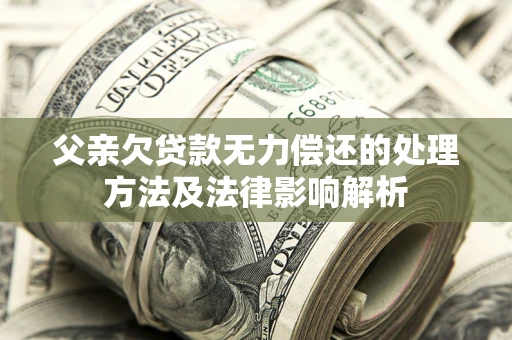 武汉父亲欠贷款无力偿还的处理方法及法律影响解析