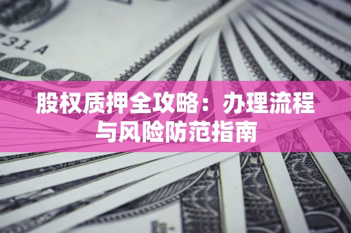武汉股权质押全攻略：办理流程与风险防范指南